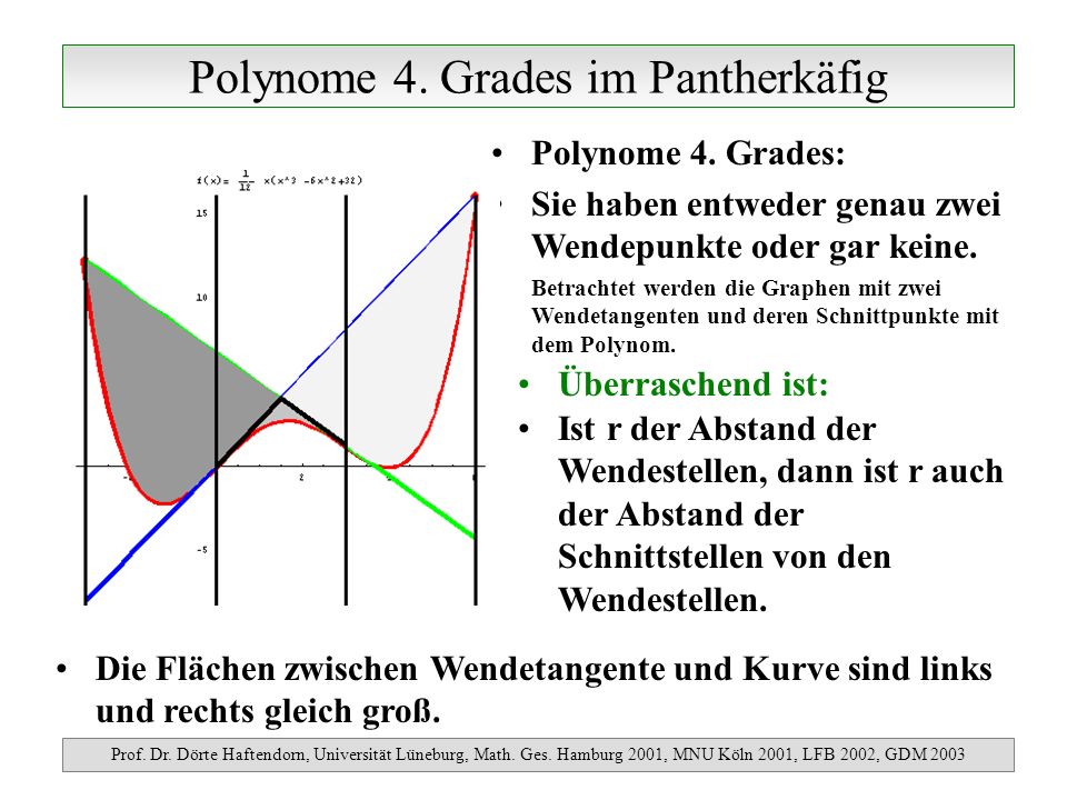 Polynome 4. Grades im Pantherkäfig