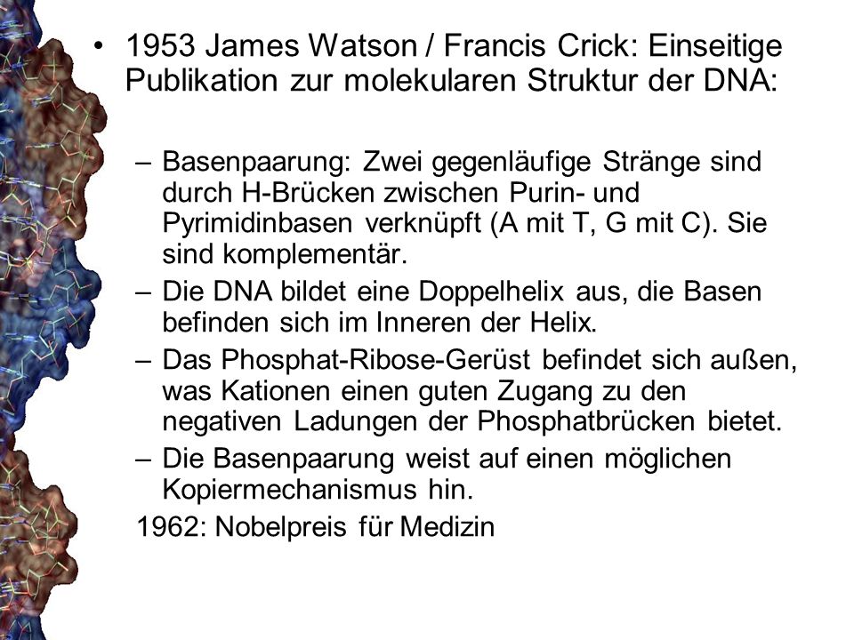 1953 James Watson / Francis Crick: Einseitige Publikation zur molekularen Struktur der DNA: