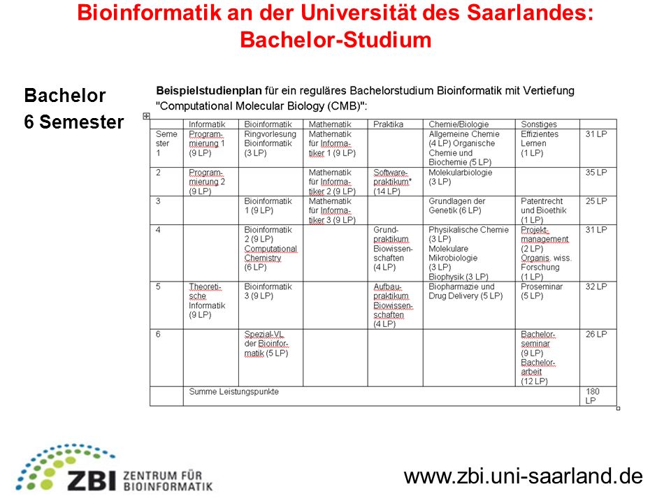Bioinformatik an der Universität des Saarlandes: Bachelor-Studium