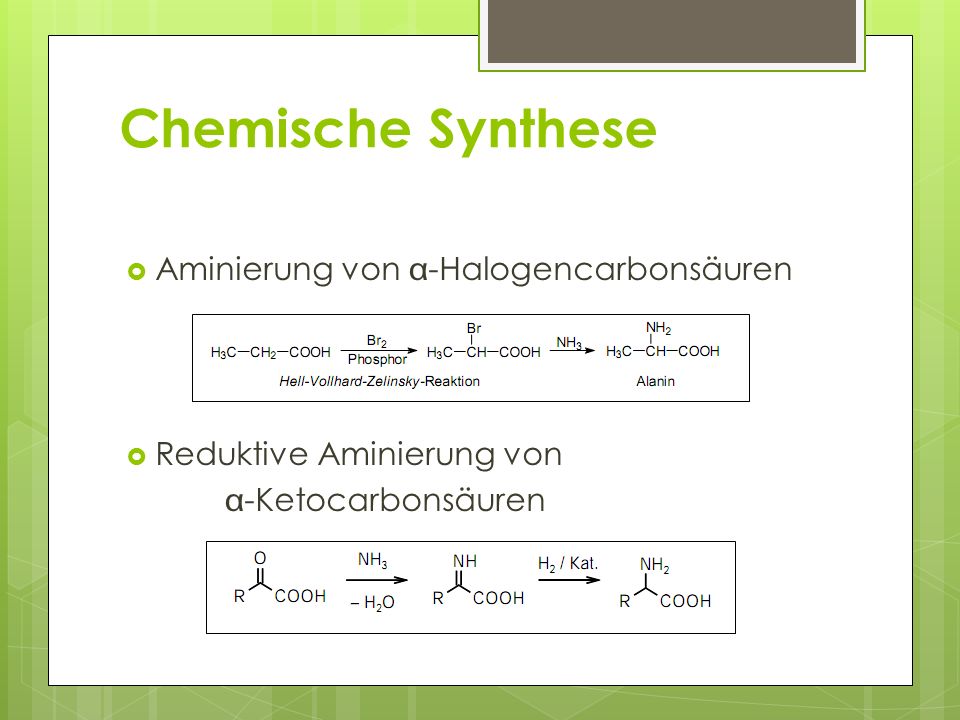 Chemische Synthese Aminierung von -Halogencarbonsäuren
