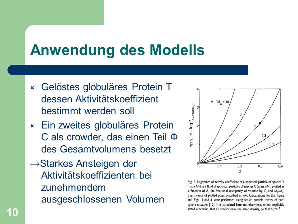 Anwendung des Modells Gelöstes globuläres Protein T dessen Aktivitätskoeffizient bestimmt werden soll.