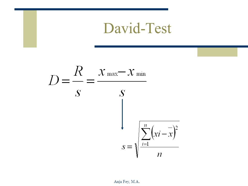 David-Test Anja Fey, M.A.