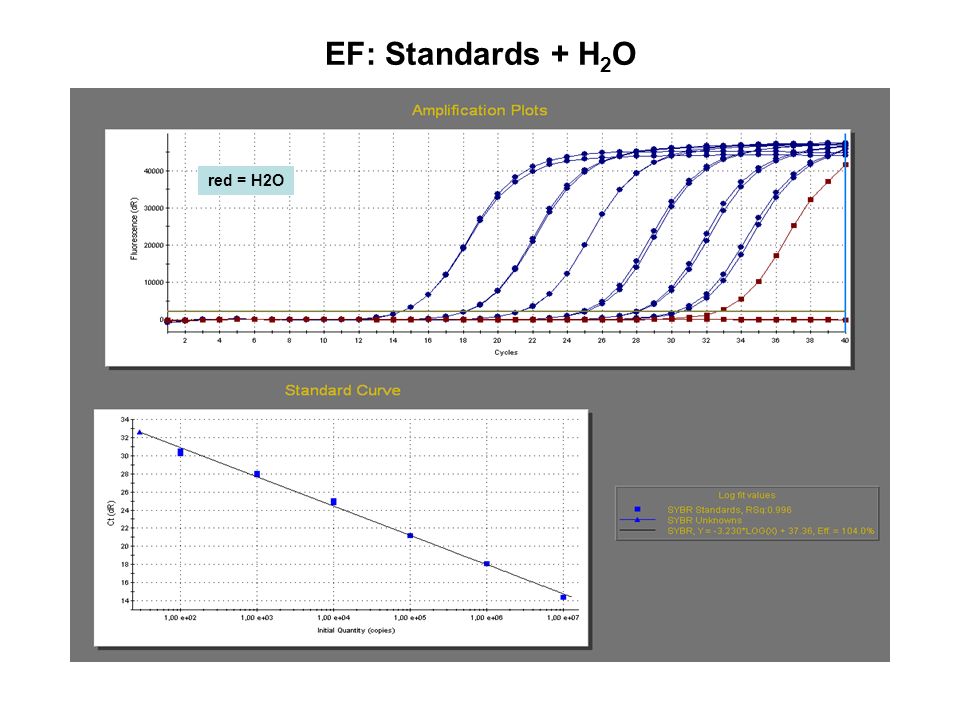 EF: Standards + H2O red = H2O