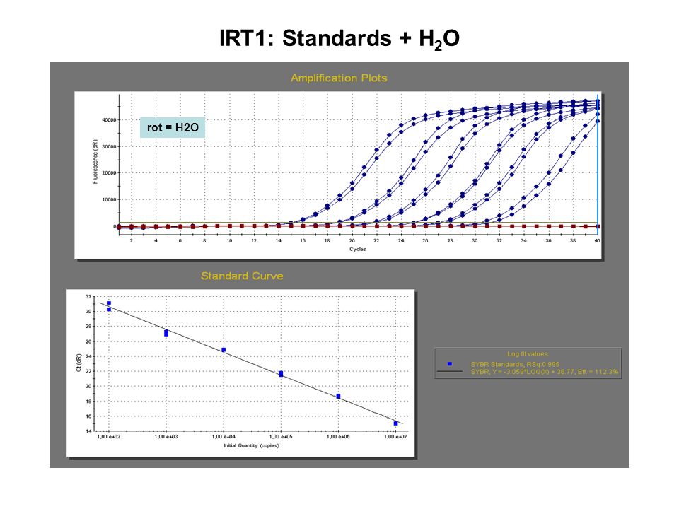 IRT1: Standards + H2O rot = H2O