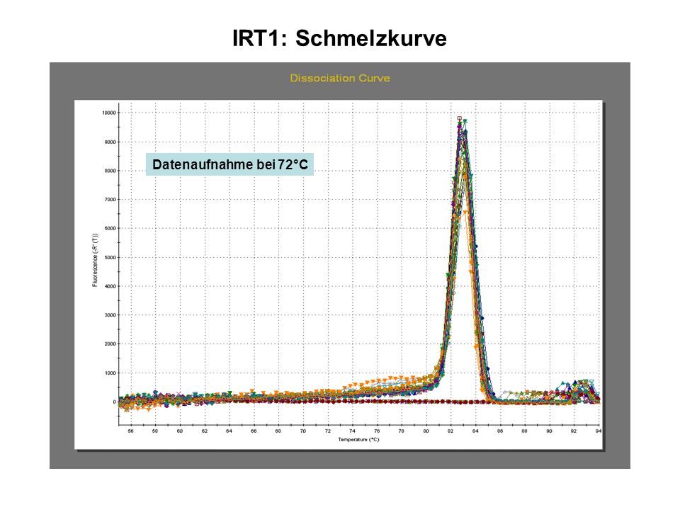 IRT1: Schmelzkurve Datenaufnahme bei 72°C