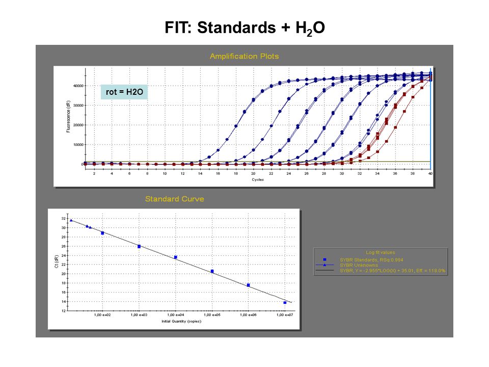 FIT: Standards + H2O rot = H2O