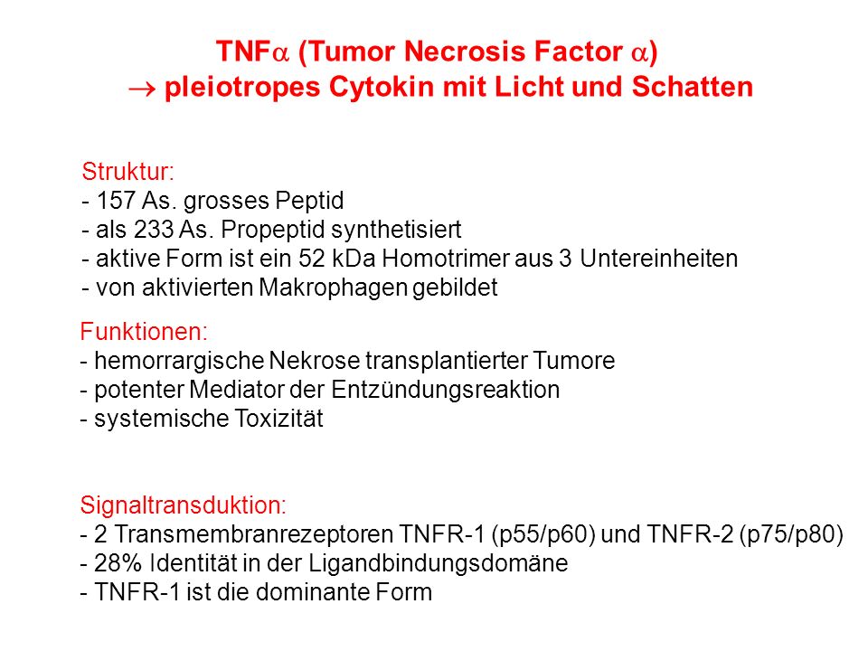 TNFa (Tumor Necrosis Factor a)