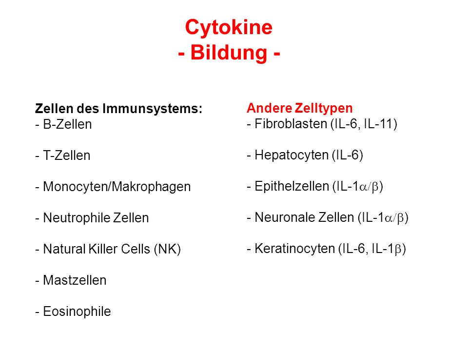 Cytokine - Bildung - Zellen des Immunsystems: Andere Zelltypen