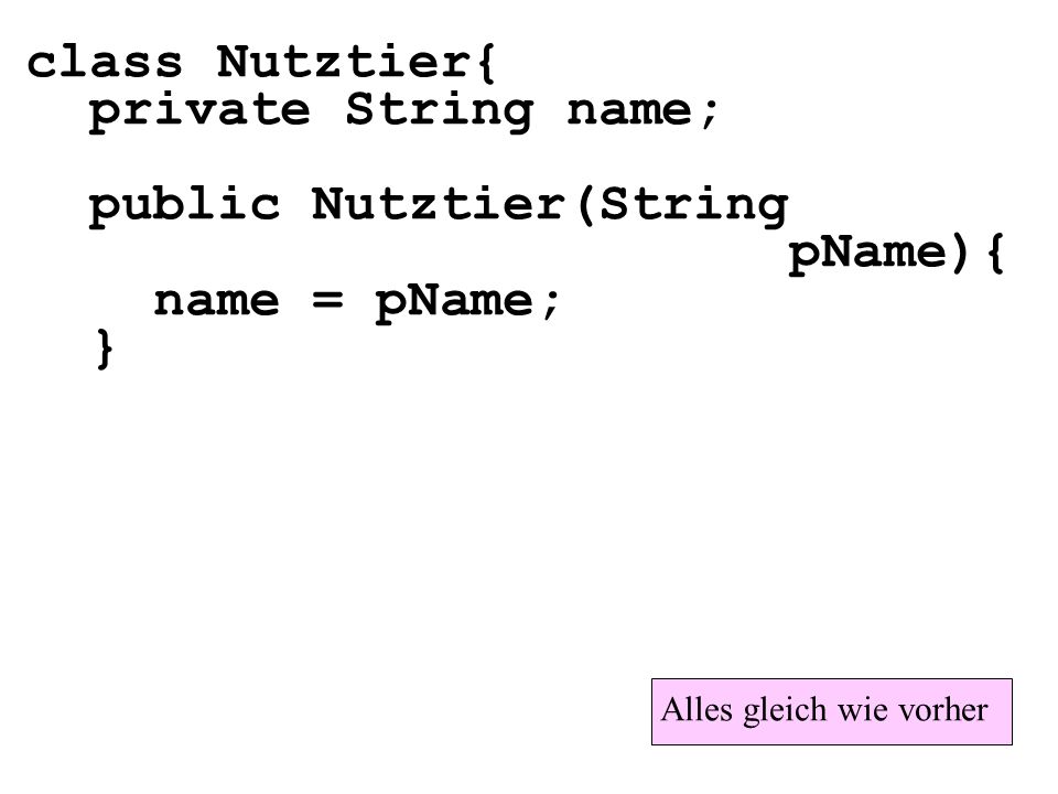 public Nutztier(String pName){ name = pName; }
