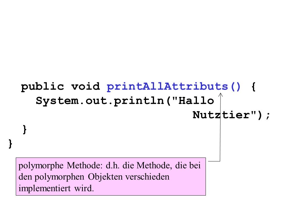 public void printAllAttributs() { System.out.println( Hallo