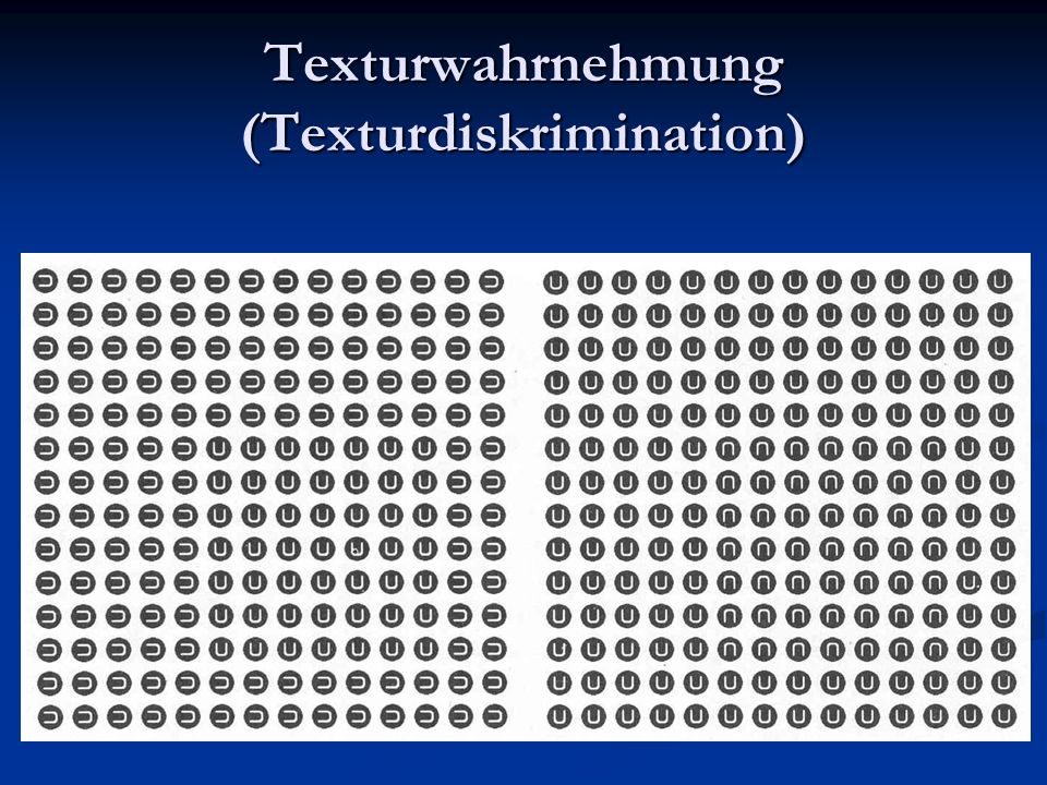 Texturwahrnehmung (Texturdiskrimination)