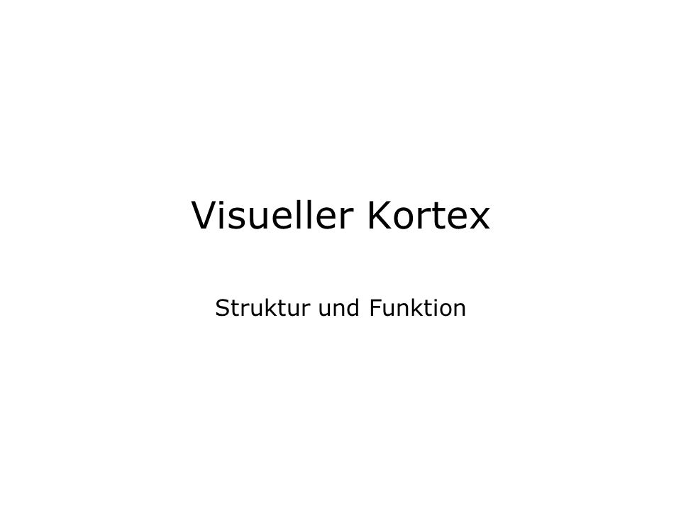 Visueller Kortex Struktur und Funktion