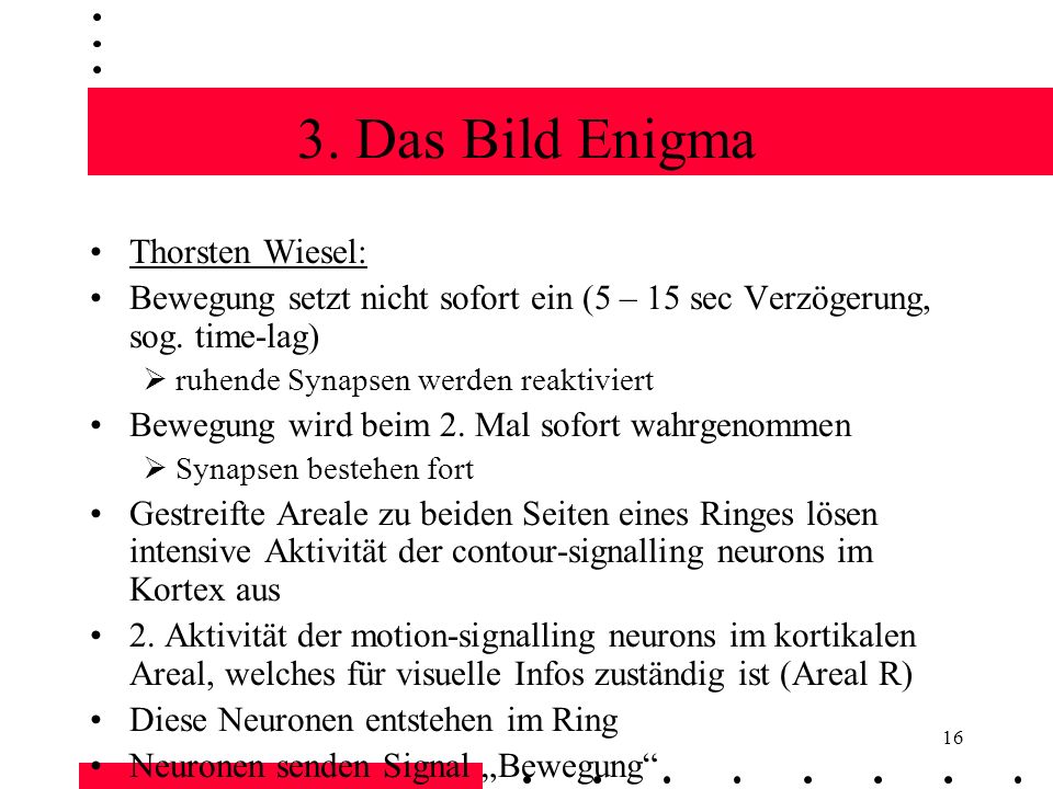 3. Das Bild Enigma Thorsten Wiesel: