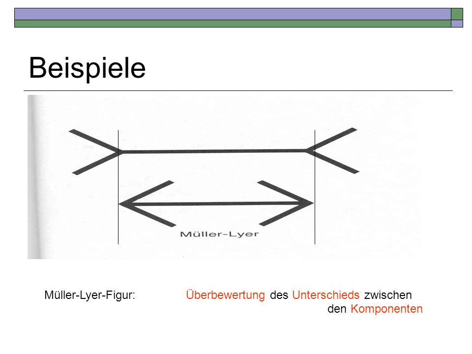 Beispiele Müller-Lyer-Figur: Überbewertung des Unterschieds zwischen den Komponenten