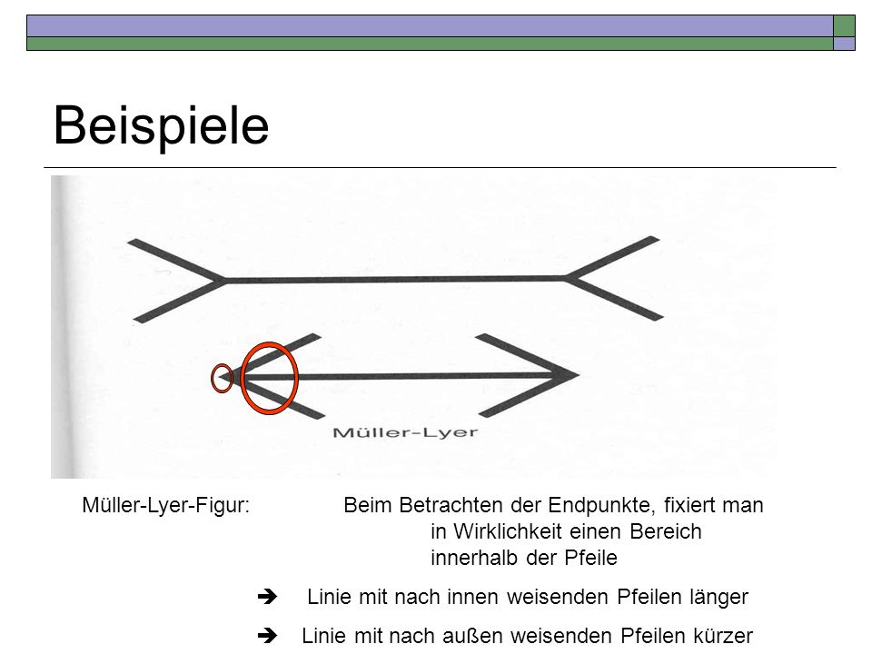 Beispiele Müller-Lyer-Figur: Beim Betrachten der Endpunkte, fixiert man in Wirklichkeit einen Bereich innerhalb der Pfeile.