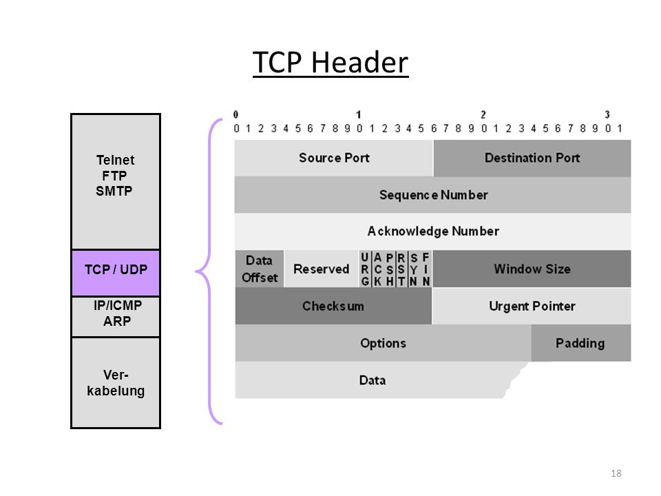 TCP Header Telnet FTP SMTP TCP / UDP IP/ICMP ARP Ver-kabelung
