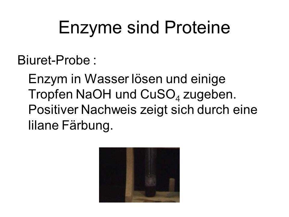 Enzyme sind Proteine Biuret-Probe :
