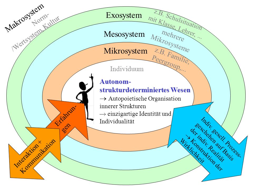 Makrosystem Norm-/Wertsystem, Kultur Exosystem