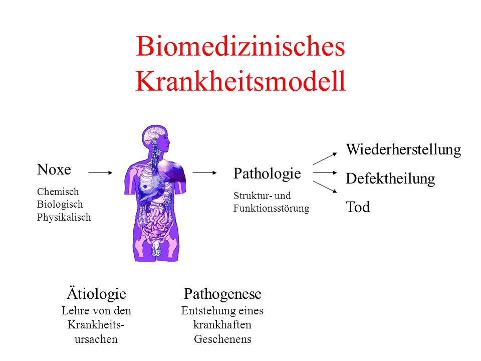 Biomedizinisches Krankheitsmodell