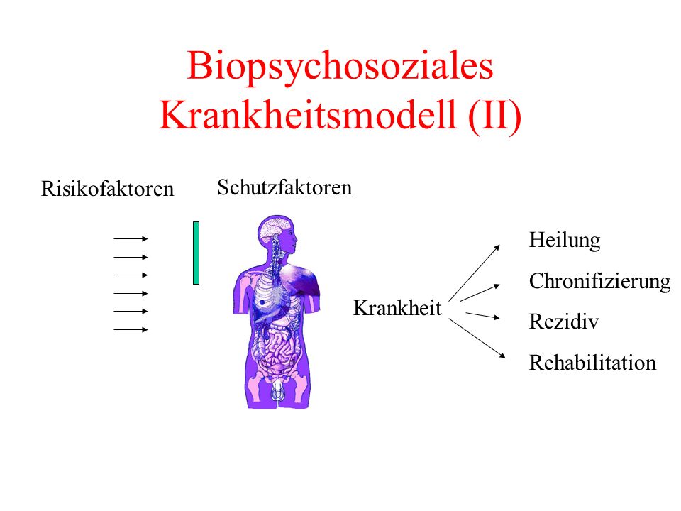 Biopsychosoziales Krankheitsmodell (II)