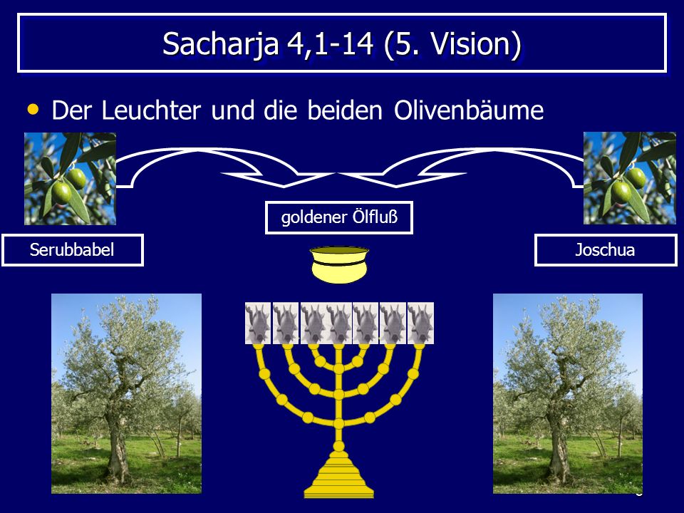 Sacharja 4,1-14 (5. Vision) Der Leuchter und die beiden Olivenbäume