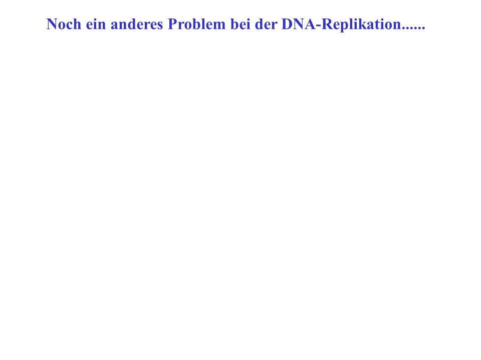 Noch ein anderes Problem bei der DNA-Replikation......
