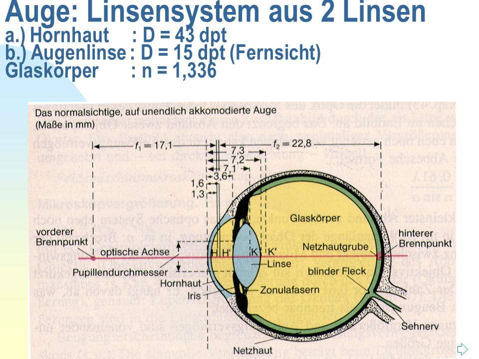 Auge: Linsensystem aus 2 Linsen a. ) Hornhaut : D = 43 dpt b