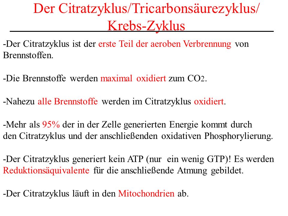 Der Citratzyklus/Tricarbonsäurezyklus/