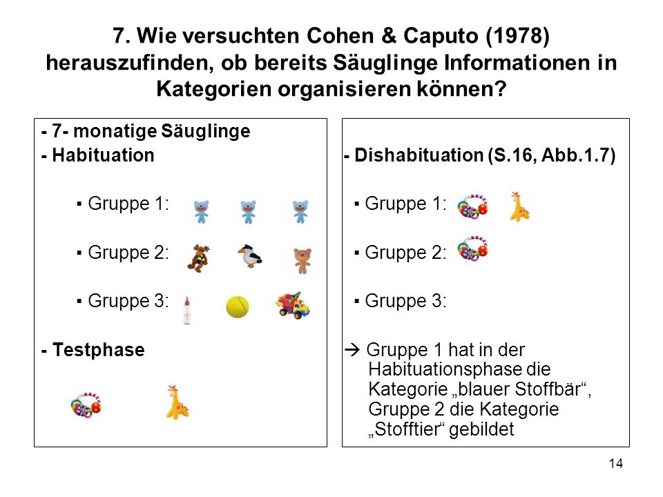 7. Wie versuchten Cohen & Caputo (1978) herauszufinden, ob bereits Säuglinge Informationen in Kategorien organisieren können