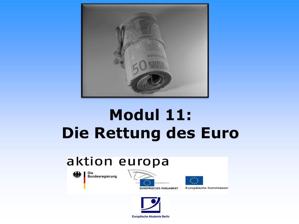 Modul 11: Die Rettung des Euro