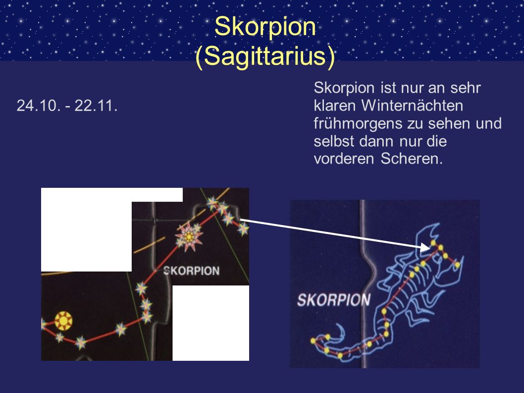 Skorpion (Sagittarius)