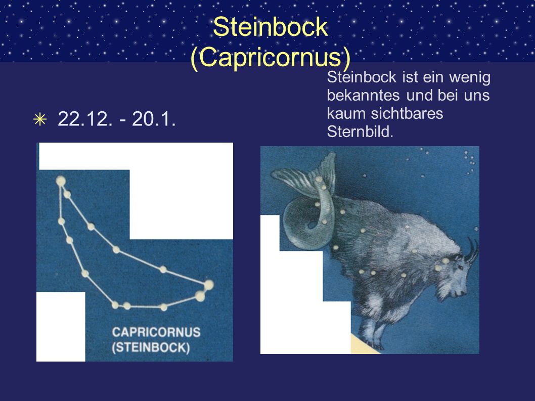Steinbock (Capricornus)