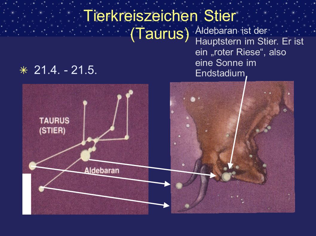 Tierkreiszeichen Stier (Taurus)
