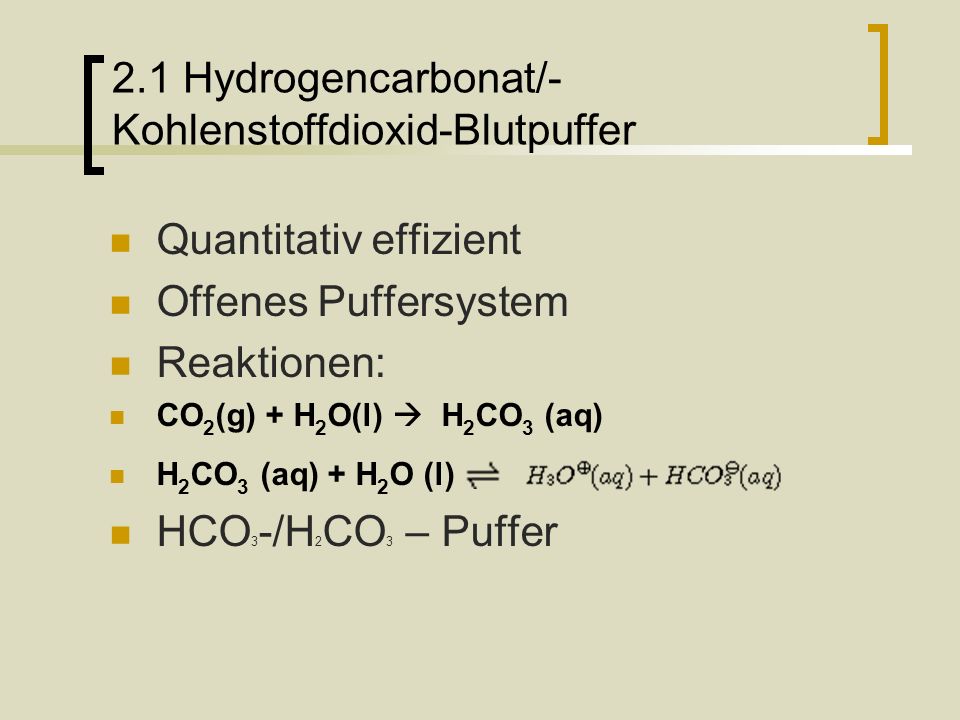 2.1 Hydrogencarbonat/- Kohlenstoffdioxid-Blutpuffer