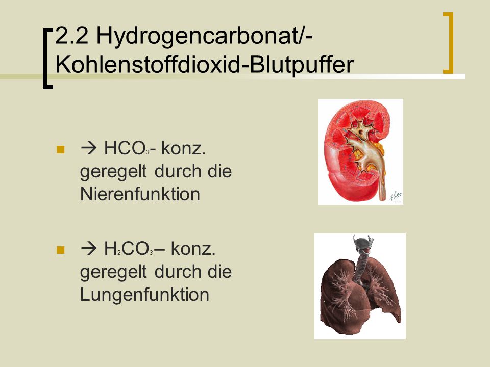 2.2 Hydrogencarbonat/-Kohlenstoffdioxid-Blutpuffer