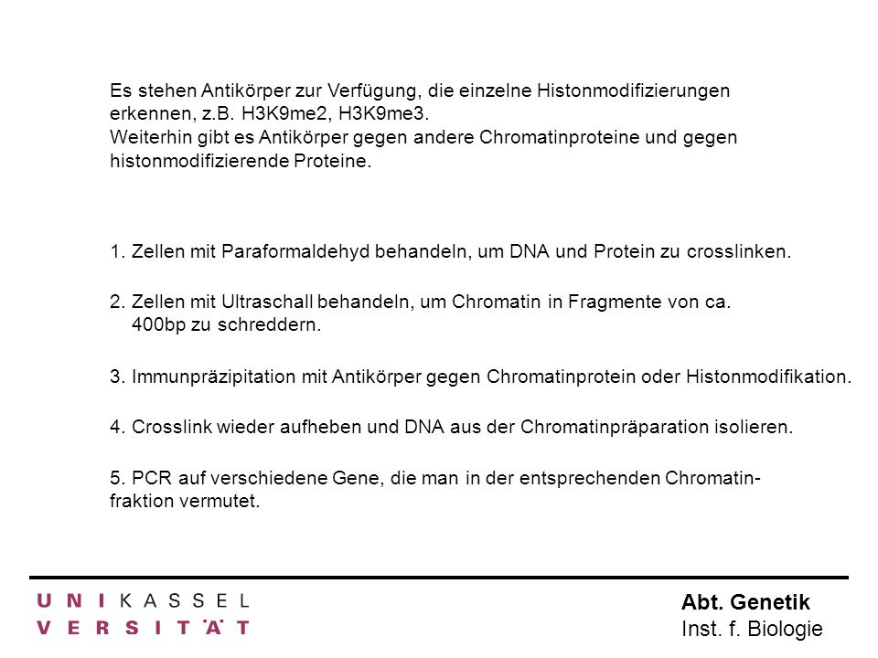 Es stehen Antikörper zur Verfügung, die einzelne Histonmodifizierungen erkennen, z.B. H3K9me2, H3K9me3.