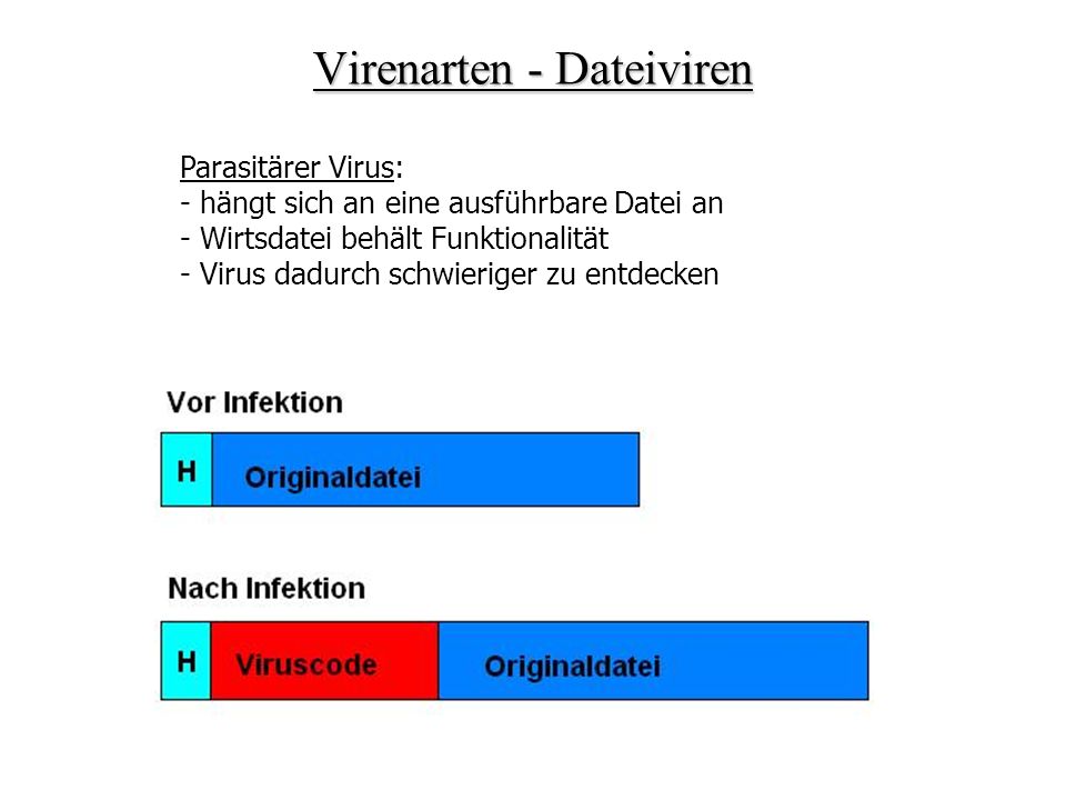 Virenarten - Dateiviren