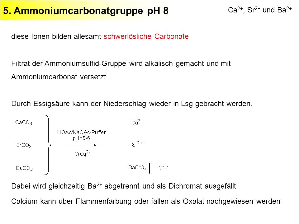 5. Ammoniumcarbonatgruppe pH 8