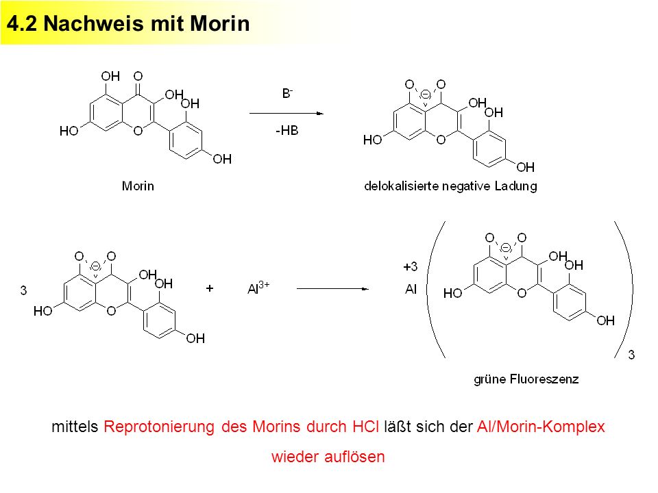 4.2 Nachweis mit Morin mittels Reprotonierung des Morins durch HCl läßt sich der Al/Morin-Komplex wieder auflösen.