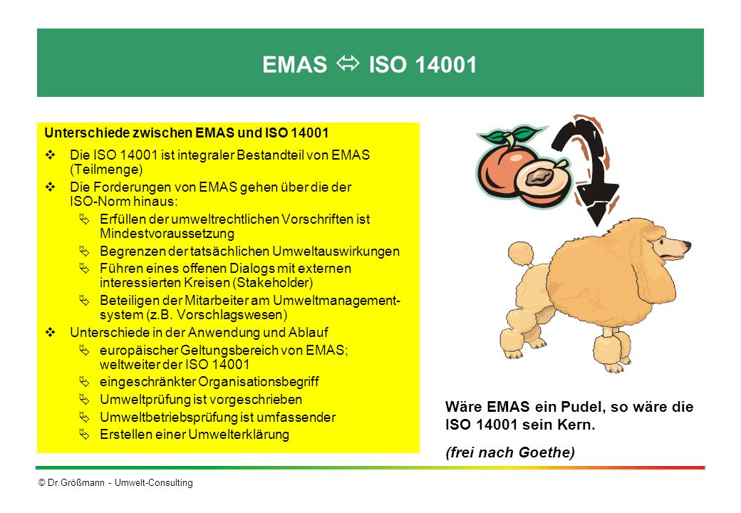 EMAS  ISO Wäre EMAS ein Pudel, so wäre die ISO sein Kern.