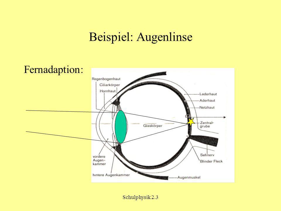 Beispiel: Augenlinse Fernadaption: Schulphysik 2.3