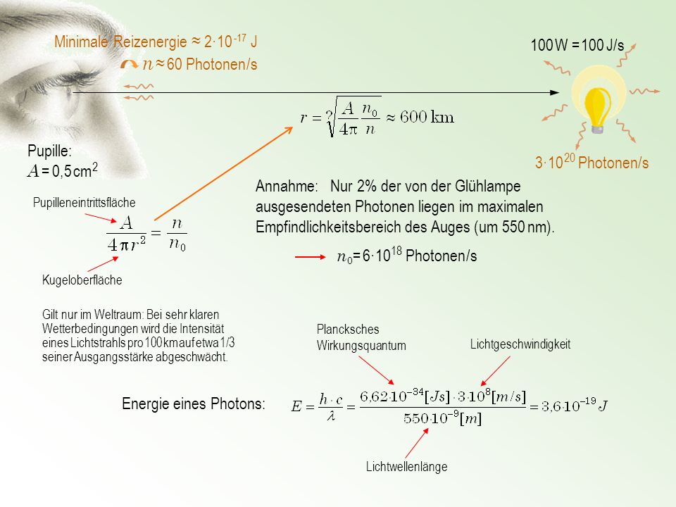 n ≈ 60 Photonen /s Minimale Reizenergie ≈ 2· J 100 W = 100 J/s