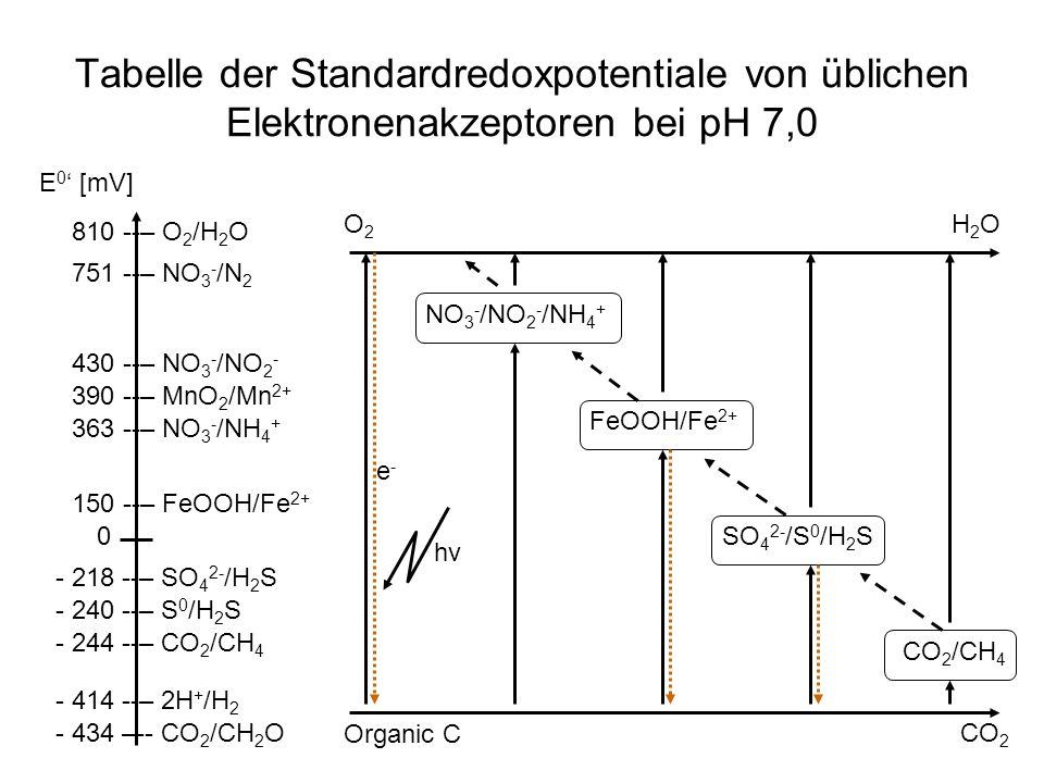 Tabelle der Standardredoxpotentiale von üblichen Elektronenakzeptoren bei pH 7,0