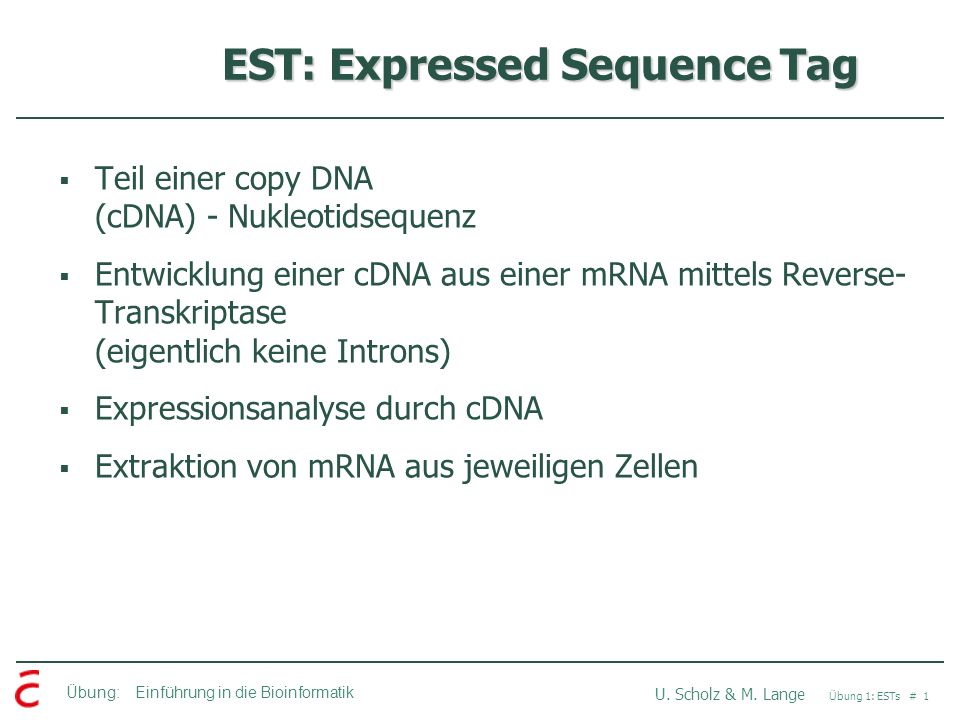 EST: Expressed Sequence Tag