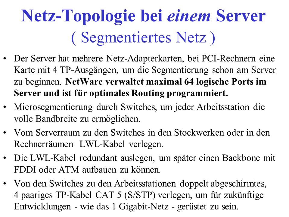 Netz-Topologie bei einem Server ( Segmentiertes Netz )
