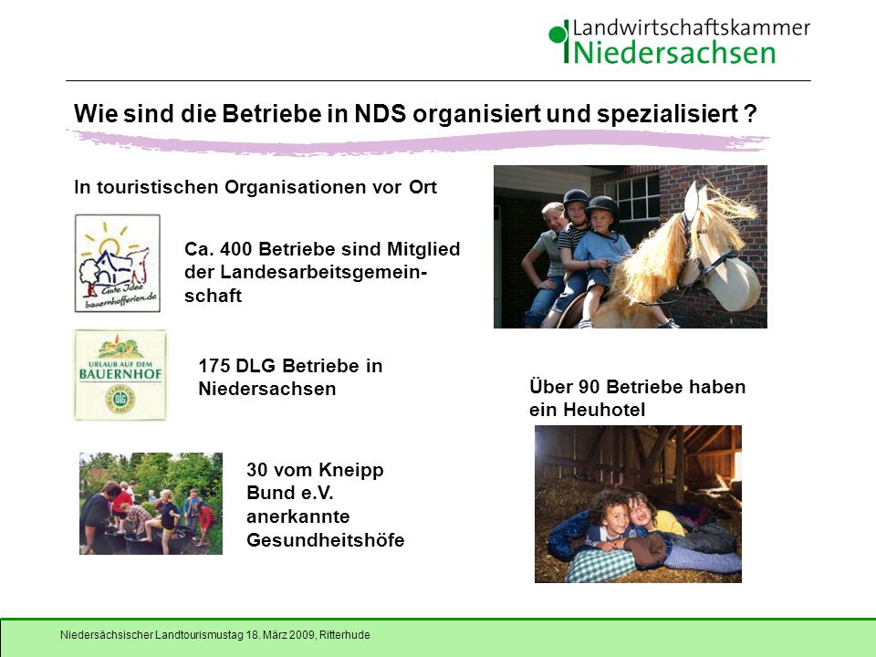 Wie sind die Betriebe in NDS organisiert und spezialisiert