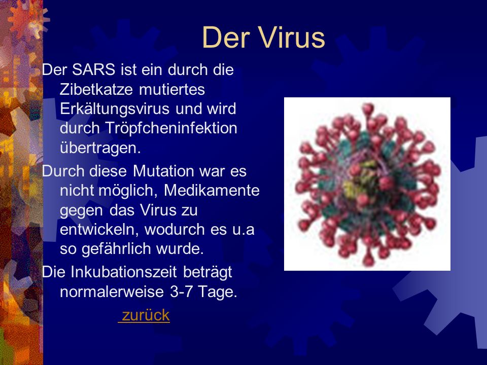 Der Virus Der SARS ist ein durch die Zibetkatze mutiertes Erkältungsvirus und wird durch Tröpfcheninfektion übertragen.