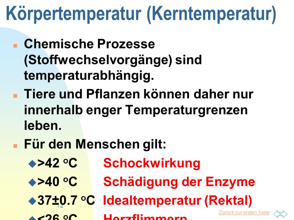 Körpertemperatur (Kerntemperatur)