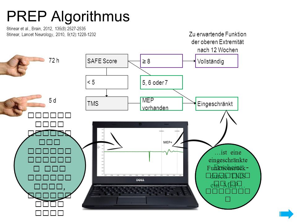 PREP Algorithmus Stinear et al., Brain, 2012, 135(8): Stinear, Lancet Neurology, 2010, 9(12):