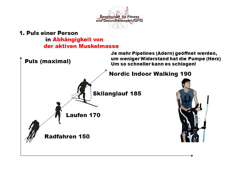 Puls (maximal) Nordic Indoor Walking 190 Skilanglauf 185 Laufen 170
